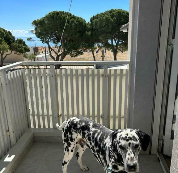 スタンダードルーム, Villa Franca