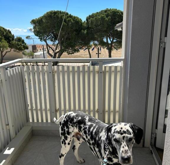 ベーシックトリプルルーム, Villa Franca