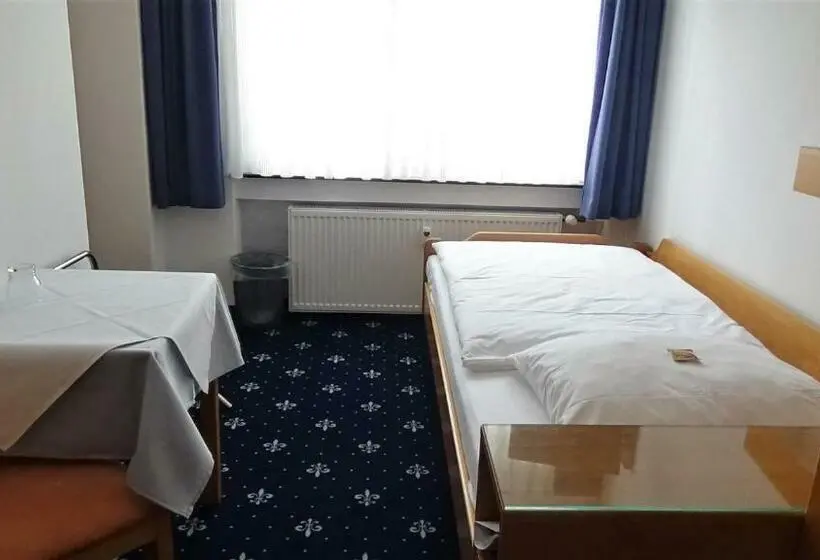 Standard Yhden Hengen Huone, Zur Traube