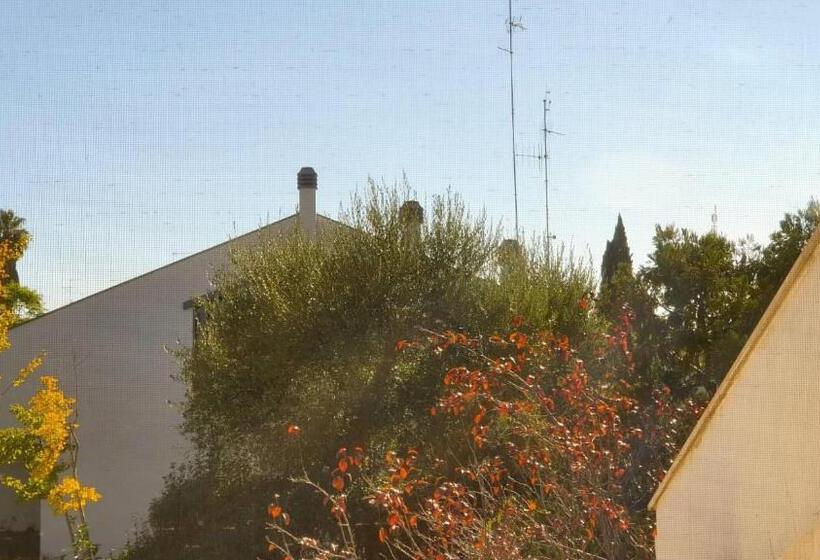 חדר סטנדרד יחיד חדר אמבטיה משותף, B&b Apulia Time