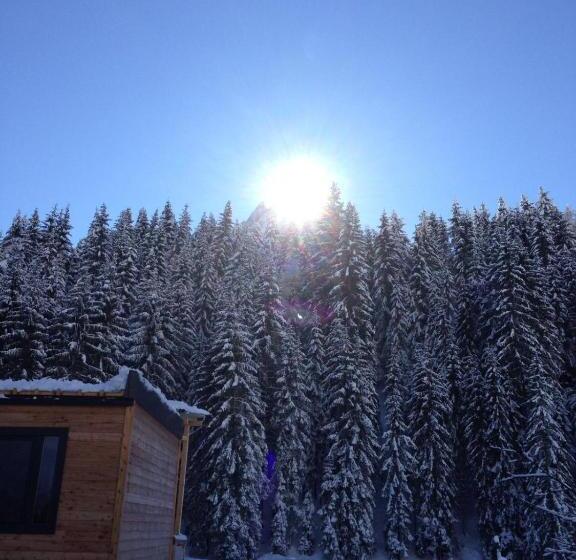 Бунгало Стандарт 2 Спальни, Eirl Dolomites Retreat Sappada