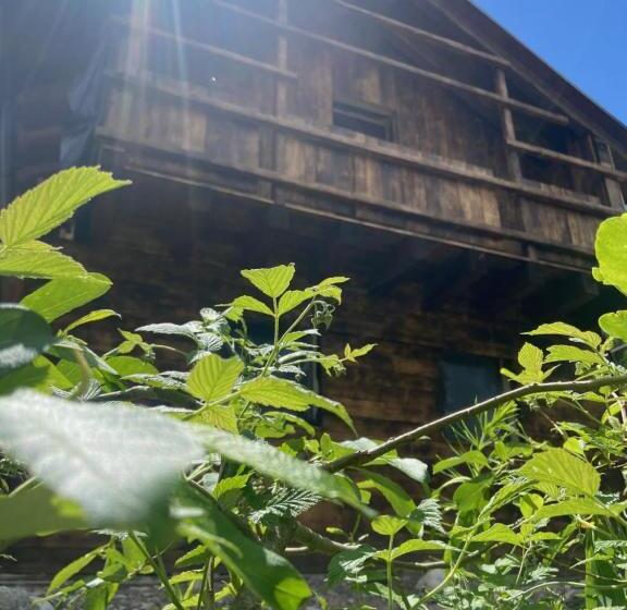 Шале Superior 1 Спальня, Eirl Dolomites Retreat Sappada