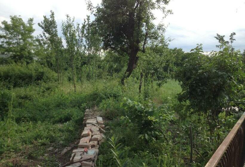 غرفة قياسية, B&b Mulino Marsa