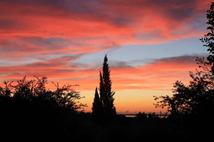 חדר סטנדרט, La Casa Di Cosa
