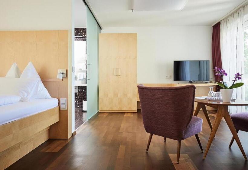 חדר סטנדרט מותאם לאדם עם מוגבלויות, Garni Ogris Am See