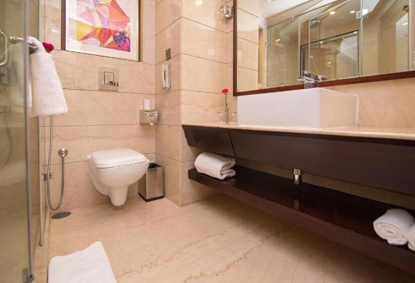 クラブルーム, Shakun Hotels And Resorts