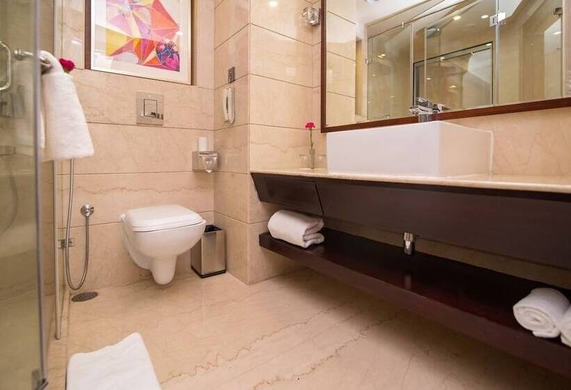 クラブルーム, Shakun Hotels And Resorts