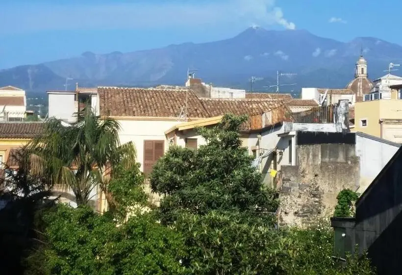 Perhesviitti, Tortugas B&b