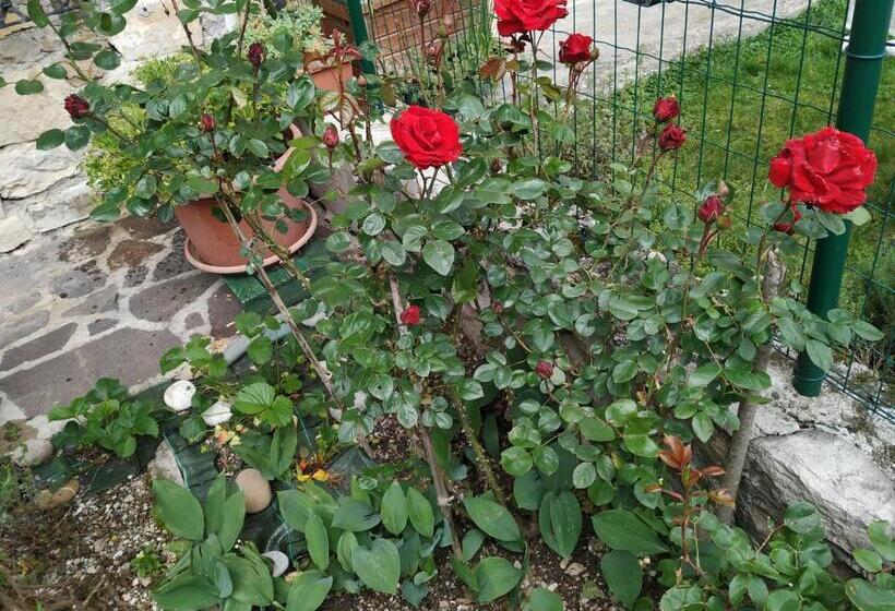 스탠다드 룸, B&b Casa Lisa