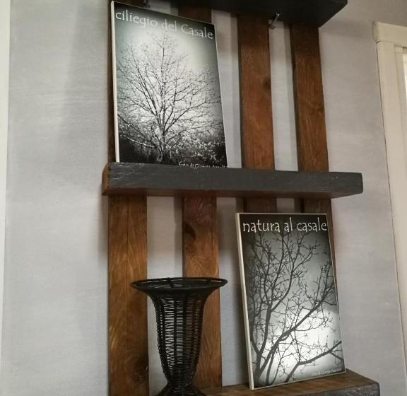 스탠다드 룸, Agriturismo Tananei