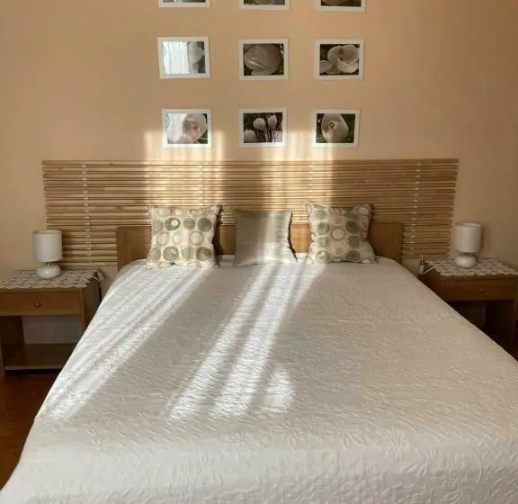 スタンダードルーム, Tencarola B & B