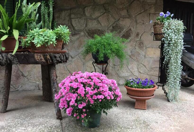 Номер Стандарт, Tencarola B & B