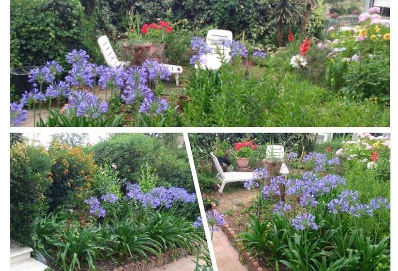 استودیوی استاندارد, B&b Villa Refe