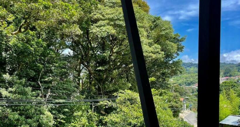 Номер Стандарт, Freddy`s Place B&b