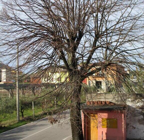 חדר סטנדרט עם מרפסת, B&b Laura