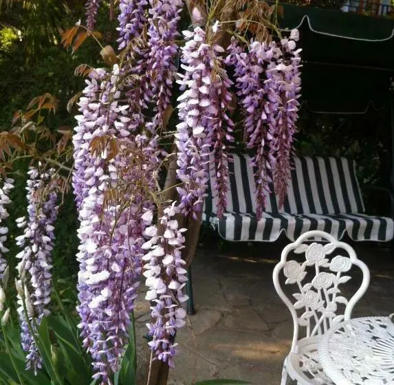 スタンダード4人部屋, B&b Le Ortensie Lago Di Como