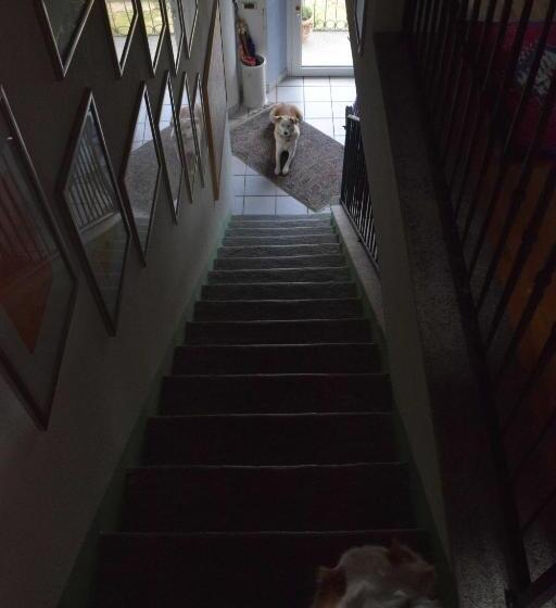 バス共有のスタンダードルーム, B&b Villa Moro   Family House