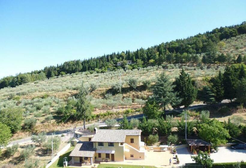 اتاق استاندارد, Villa Bigio