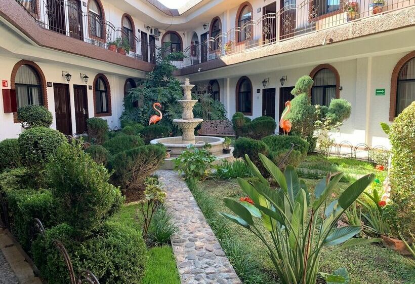 スタンダードルーム, Los Arcos