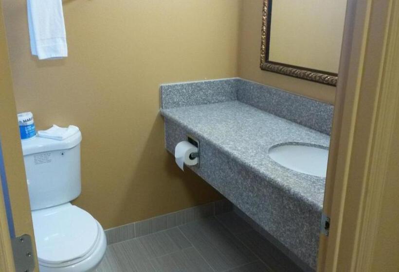 غرفة قياسية سرير كينج, Two Palms Motel