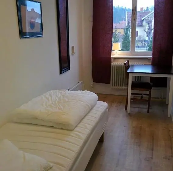 スタンダードシングルルーム, Virserum Hostel