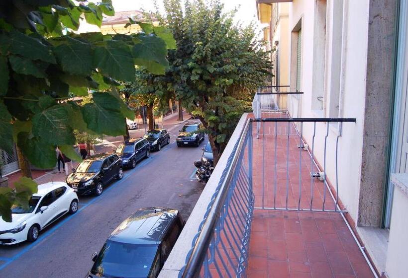 Standard Szoba, Brasile