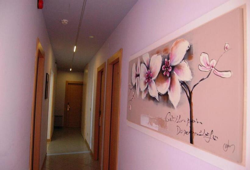 Standard Szoba, Brasile