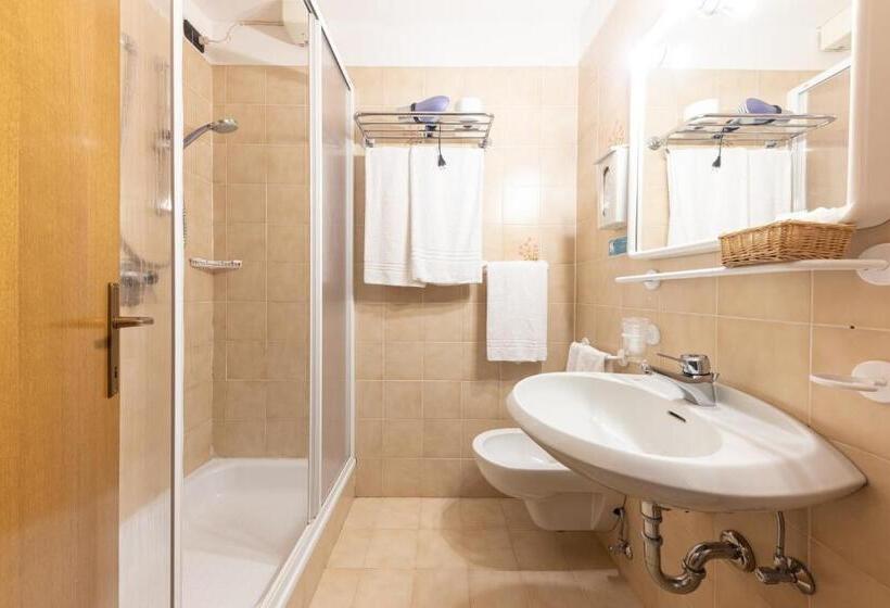 חדר סטנדרט, Chalet Piereni