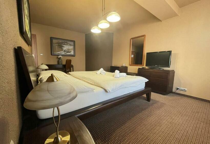 اتاق استاندارد, Penzion Benedikti