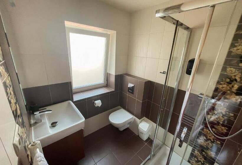 اتاق استاندارد, Penzion Benedikti