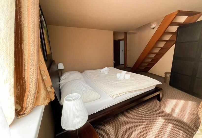 آپارتمان 1 خوابه, Penzion Benedikti