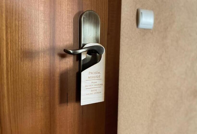 آپارتمان 1 خوابه, Penzion Benedikti