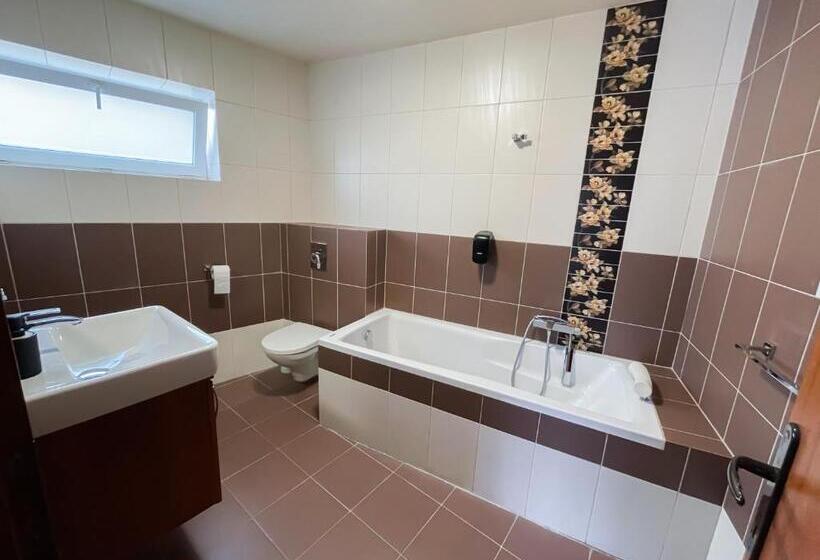 اتاق لوکس, Penzion Benedikti