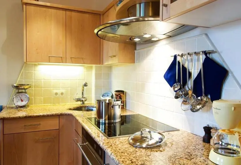 Standard-studio, Villa Anina