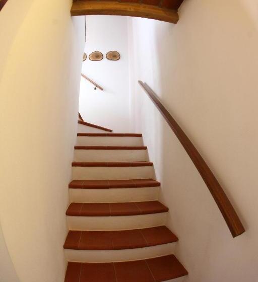 سوییت, B&b Stradivari