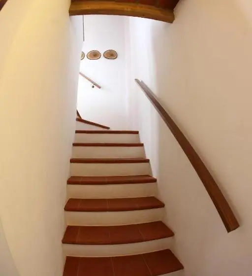 سوییت, B&b Stradivari