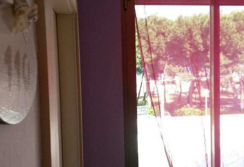 غرفة قياسية, Petit