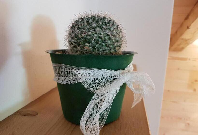 经济房, B&b Bucaneve