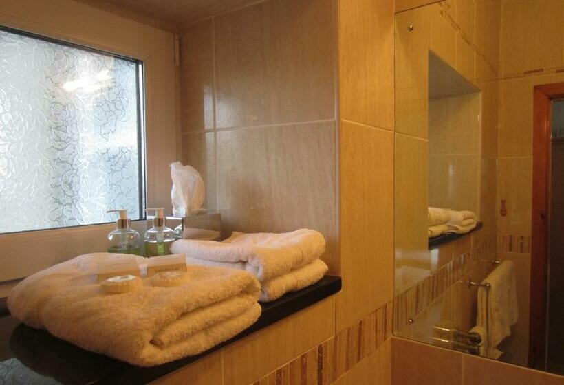 스탠다드 룸, Gwrach Ynys Country Guest House