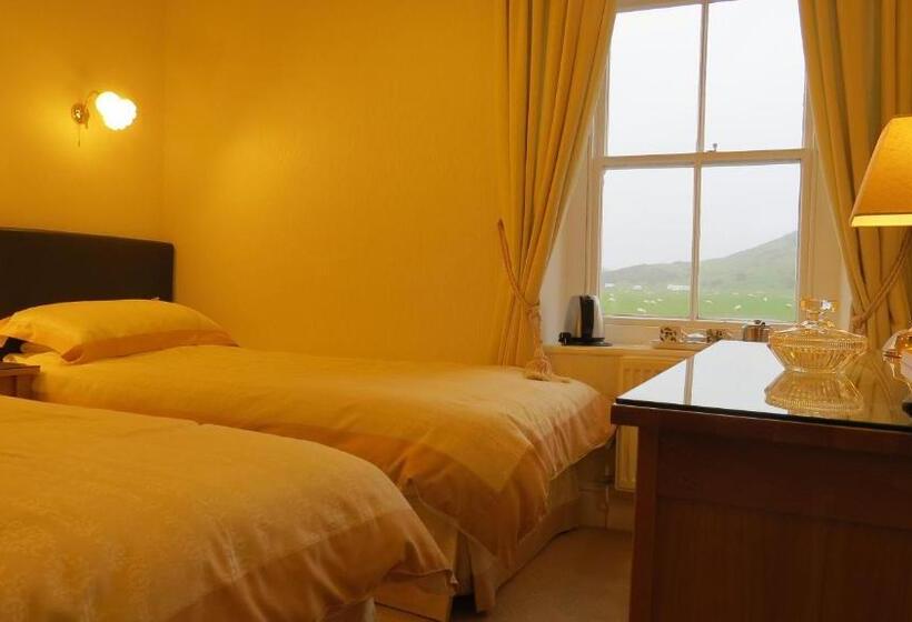 스탠다드 룸, Gwrach Ynys Country Guest House