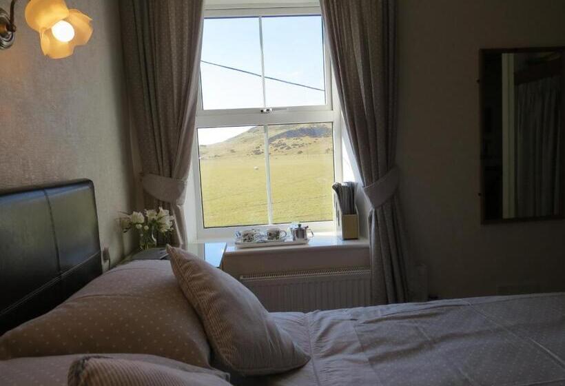 스탠다드 싱글 룸, Gwrach Ynys Country Guest House
