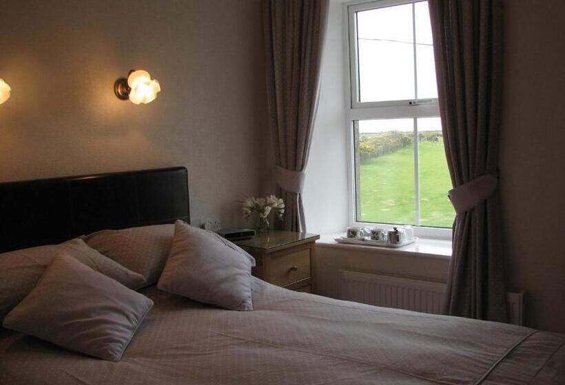 Номер Стандарт Индивидуальный, Gwrach Ynys Country Guest House