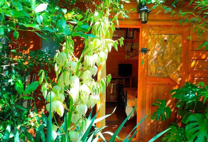 חדר סטנדרט נוף לגינה, Le Portel Des Arnaud Chambres D'hôtes