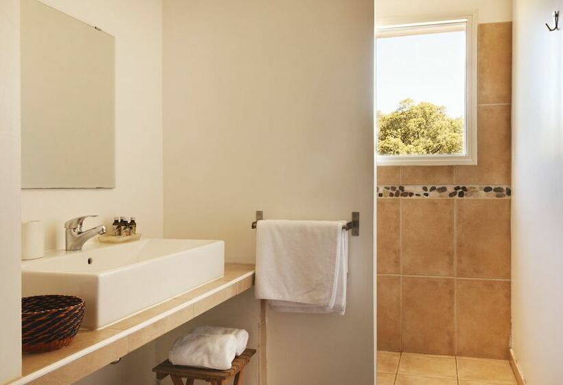 スタンダードルーム, Le Ruone