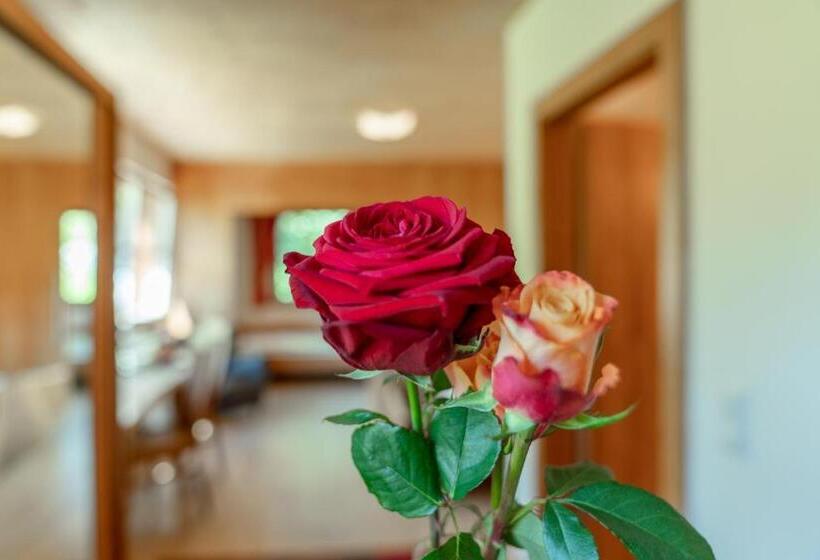 חדר סטודיו סטנדרד, Familienhotel Unterreith