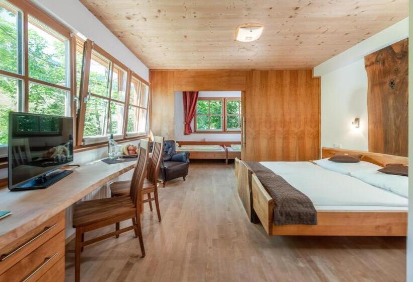 חדר סטודיו סטנדרד, Familienhotel Unterreith