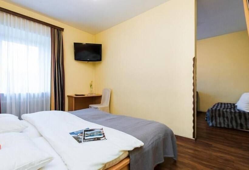 חדר סטנדרט, Familiengut Ertlhof