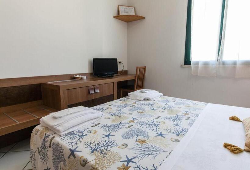 이코노미 룸, Oasis