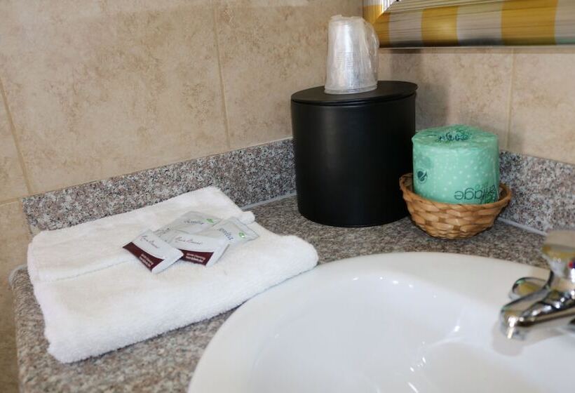 싱글 디럭스 룸, Great Western Inn