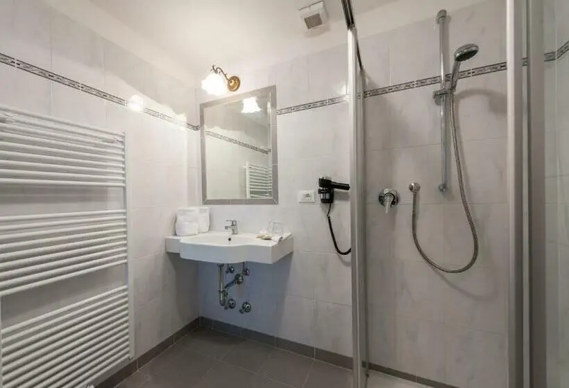 Basic-huone, Palmengarten Hotel Gstör